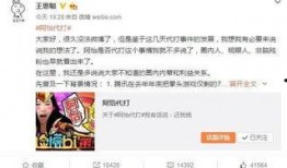 网红湖滨爆料是真的吗视频,网红湖滨爆料视频真实性揭秘